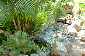 Villa rental rear garden