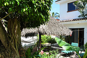 Palapa view from back of garden