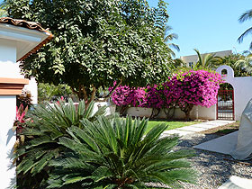 Bucerias rental property exterior front view