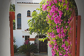 Bucerias rental view from gate